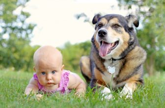 Säugling und Hund